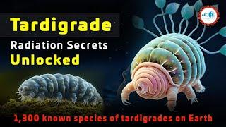 New Tardigrade Species Reveals Radiation Resistance Secrets