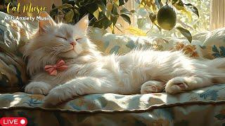 Gentle Melodies for Cats: Relaxing Music to Keep Your Kitty Calm and Happy And Sleep Better 