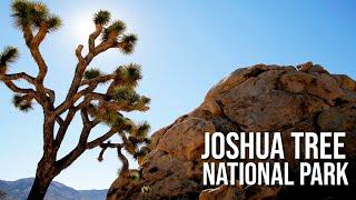 Joshua Tree National Park