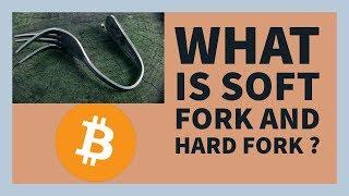 What is Softfork and Hardfork in Bitcoin & Cryptocurrency ? | Blockchain