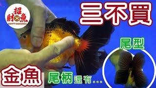 金魚有三不買～你知道嗎？