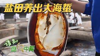 盐田海蜇个大的关键是饲料！没想到这种人们常喝的饮品竟然是海蜇的最爱 |「谁知盘中餐」20230808