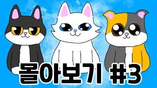 Catoutdoor Binge-Watching (ENG SUB) | CatOutdoor