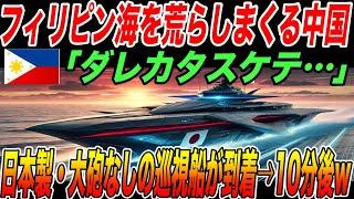 フィリピン海を荒らしまくる中国。フィリピン「誰か助けて…」日本製で大砲なしの巡回船が到着した10分後…【海外の反応・日本の技術】