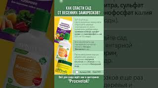Как не остаться без урожая из-за весенних заморозков? Сохраняйте в закладки!