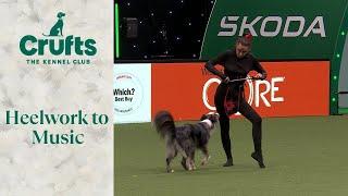 Heelwork To Music - Freestyle International Competition Part 1 | Crufts 2024