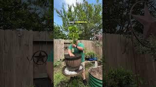 Gardening Makes You Happy