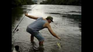 Niagara river walleye on 4lb testline