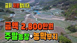 주말농장+농막용 소형땅매매. 2천8백만원 전기+도로접경북 포항시 북구 [매물997]