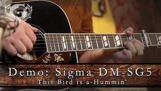 Sigma DM-SG5-BK - the Guitarshop Demo's