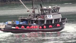 Travel Video Publications on the Arrora in Prince William Sould Valdez,Whittieer,Cordova
