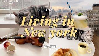 NY vlogRainy weekend vlog to play, eat, and rest with Oreo/ NY Rooftop/ Nami Nori/ #nyvlog #nylife