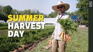 Harvesting In The Market Garden | How We Do It Fast And Efficient 