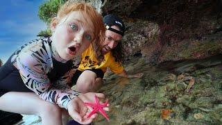 ADLEY Found a STAR FiSH  Mom grabs a CRAB!!  Exploring Tide Pools for Sea Creatures and Shells!