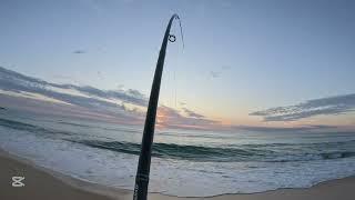 Fishing Tura Beach with a Couple Surprise Catches!