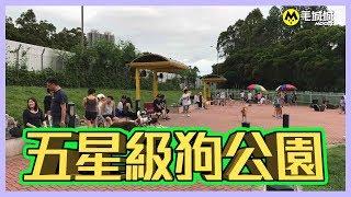 【十八區狗公園】將軍澳環保大道寵物公園