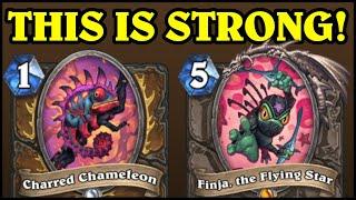 This is EXACTLY the Card Finja Druid Needed!