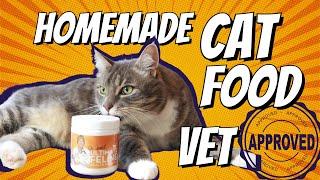 Balanced, Tasty Homemade Cat Food Recipe