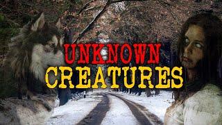 Absolutely Chilling and Terrifying Encounters with Unknown Creatures