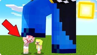 ЭТИ ИЛЛЮЗИИ ВЗОРВУТ ТВОЙ МОЗГ В МАЙНКРАФТ! ШЕДИ ЛЕСКА И НУБИК MINECRAFT