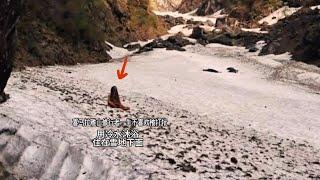 喜马拉雅山修行者一生不喜欢被打扰，用冰水洗澡，住在雪地下面