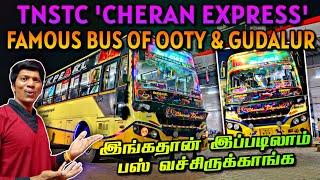 TNSTC HILLS BEAUTY 'CHERAN EXPRESS' BUS TRAVEL VLOG!!! TRICHY-OOTY-GUDALUR | Naveen Kumar