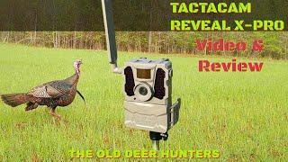 Tactacam Reveal X Pro Trail Camera Review : New Fawns, Gobblers, Boars & Predators