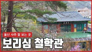 울산철학관 보리심철학관