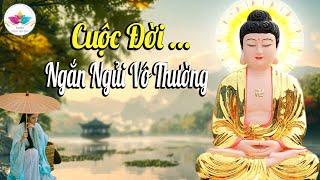 Phật Dạy Cuộc Đời Này Ngắn Ngủi Vô Thường, Cứ Vui Vẻ Mà Sống ( MỚI 2024 )