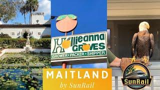 Maitland by SunRail | Art & History Museums | Audubon Center for Birds of Prey | Hollieanna Groves