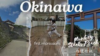 A Martial Artists First Impressions of Okinawa