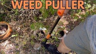 HANDY DANDY WEED PULLER #amazonhiddengems #landscaping #ad #home #diy #foryou