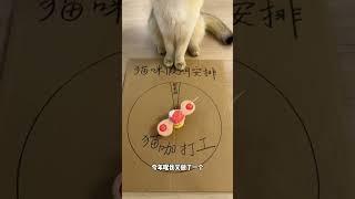 【牛奶是只猫】如何轻松给猫咪剪指甲？看这里！