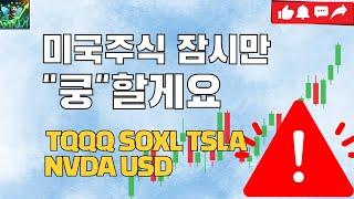 NVDA, 나스닥 잠시만 "쿵" 할게요 (feat.눌림롱의 관점) / 미국주식 차트분석 TQQQ SOXL TSLA NVDA USD