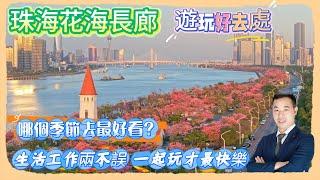 Andy團隊｜珠海退休｜珠海房產｜珠海買房｜珠海花海長廊｜遊玩好去處｜哪個季節去最好看？｜生活工作兩不誤｜一起玩才最快樂