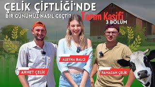 Çelik Çiftliği'nde Bir Günümüz Nasıl Geçti? I Tarım Kaşifi 3. Bölüm @celikciftligi43