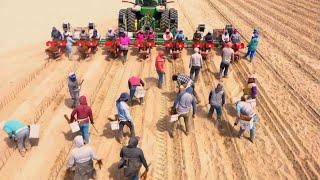 Farm Jobs That Americans Never Do - American Farming