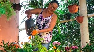 TOUR PELAS MINHAS PLANTAS| Transformei minha varanda em um jardim🪴 