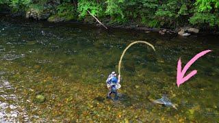 I Caught A TROUT OF A LIFETIME | Fly Fishing A Famous Northeast River!