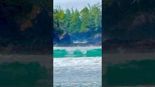Mackenzie Surf - Serene Scenes