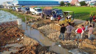 First Start Filling Up Land By Bulldozer D21P Komatsu & 5Ton Truck Pushing Soil into Lot Rice Field