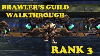 Brawler's Guild Walkthrough - Rank 3 (Blat, Vian the Volitile, Ixx, Mazhareen)