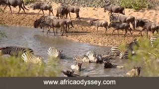 Singita Explore, safaris and honeymoons in the Serengeti with Africa Odyssey