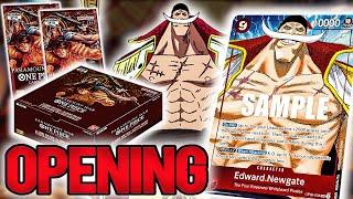 Auf der Jagd nach WHITEBEARD! - Paramount War OP02 - Display Opening