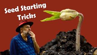 10 Seed Starting Tricks I Used to germinate 2,000 Different Plants