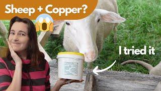 I Tried Copper Sulfate for 24 Months Here's What Happened to My Flock