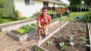 The Incredible Benefits of Adding Composting Worms to Your Garden