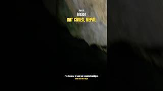 Inside BAT CAVES | Places to visit in Pokhara Nepal | Rs.100 Entry fees | No light inside | Risky