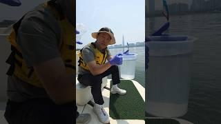 한강물 직접 떠봤습니다#쉬엄쉬엄한강축제 #한강 #수질 #서울시 #오세훈