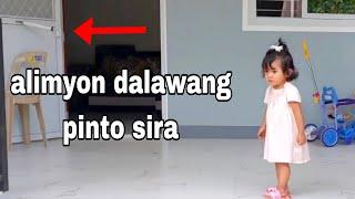 ALIMYON DALAWANG PINTO ANG SINIRA